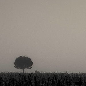 photographe, avignon, arles, artsud, phot,o galerie photo